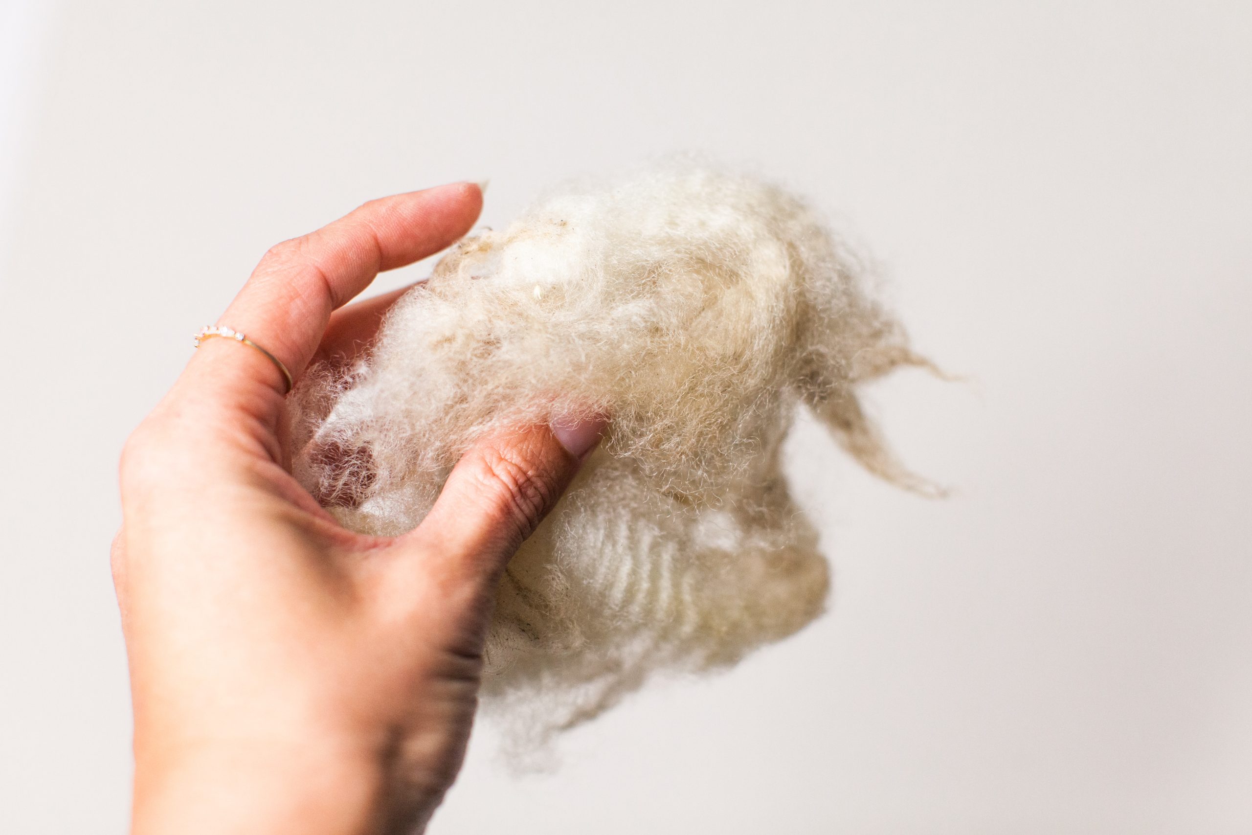 craftswoman hand holding creamy white semi processed wool